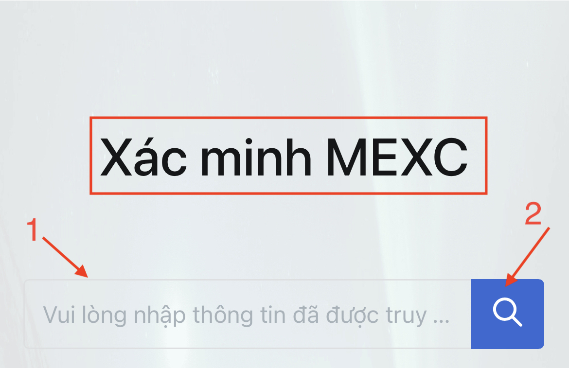VN-3.png