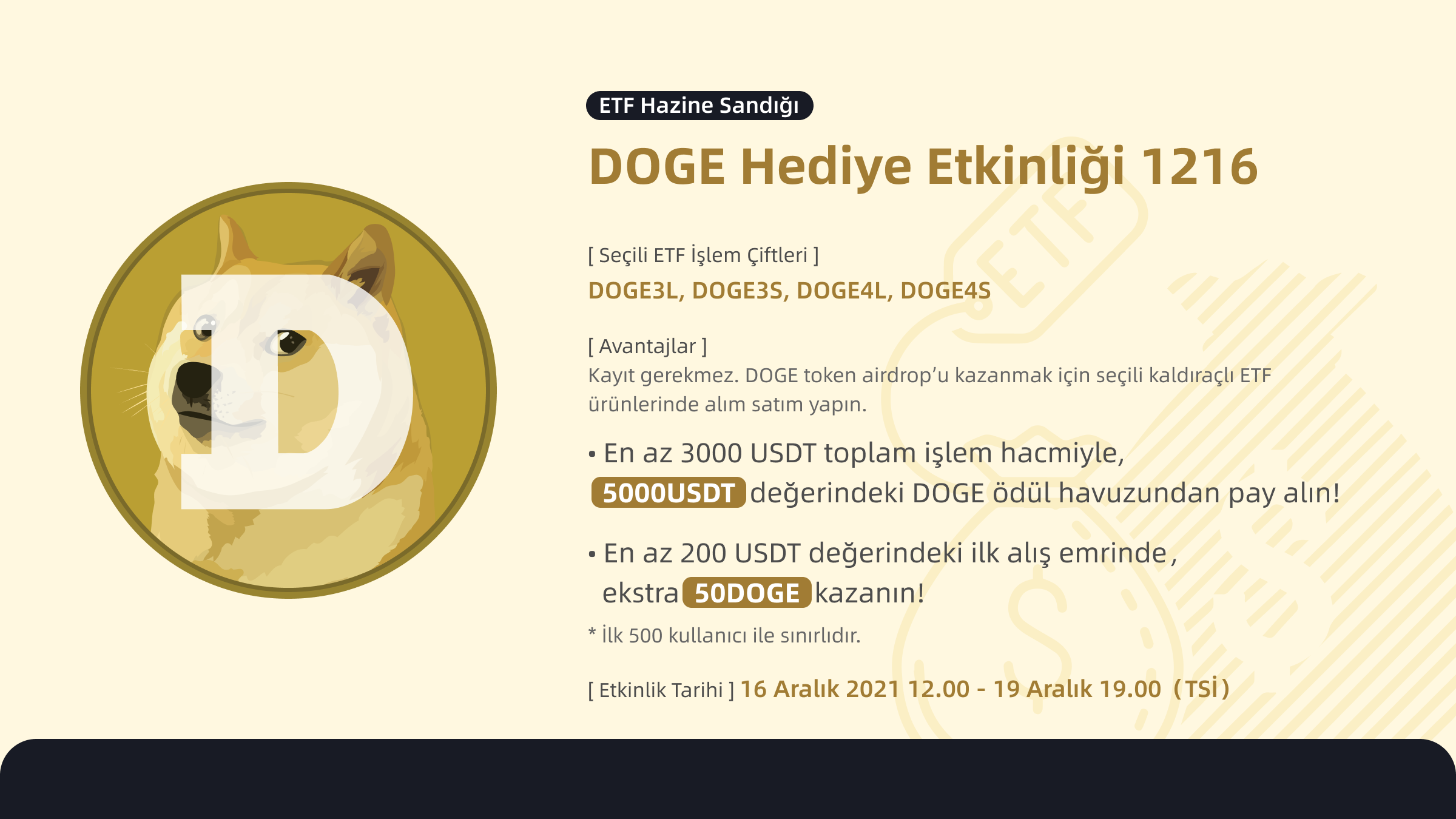 __-DOGE-_.png